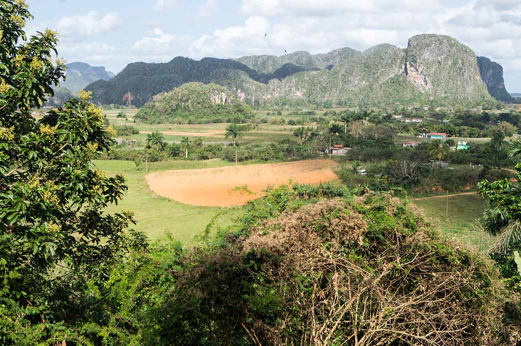 Viñales valley from Raices viewpoint