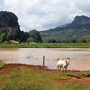 Lake, Parque Nacional Viñales