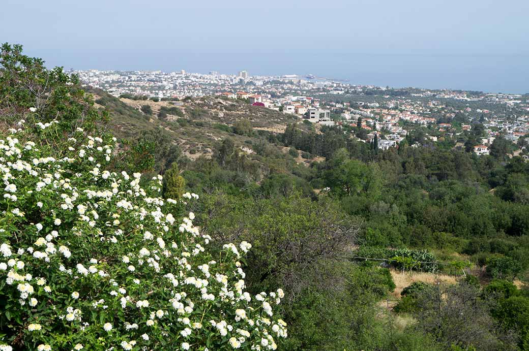 View from Bellapais Abbey