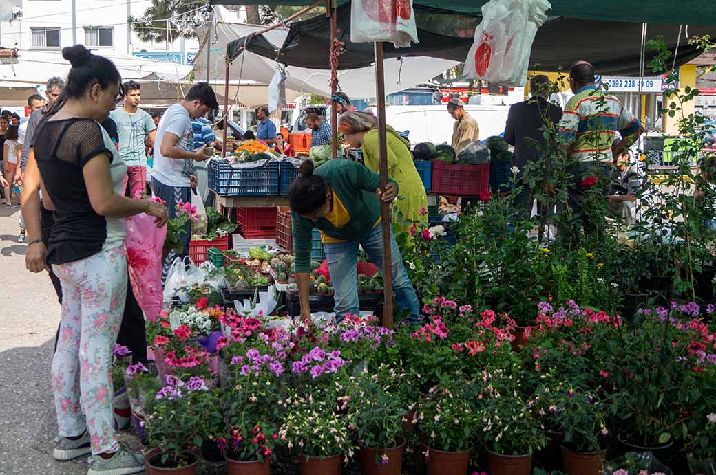 Flower market, North Nicosia