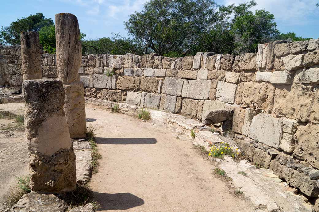 Latrines, Salamis