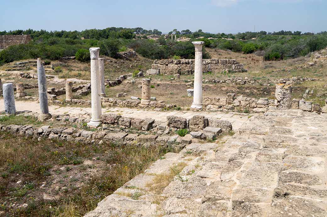 Path and view, Salamis