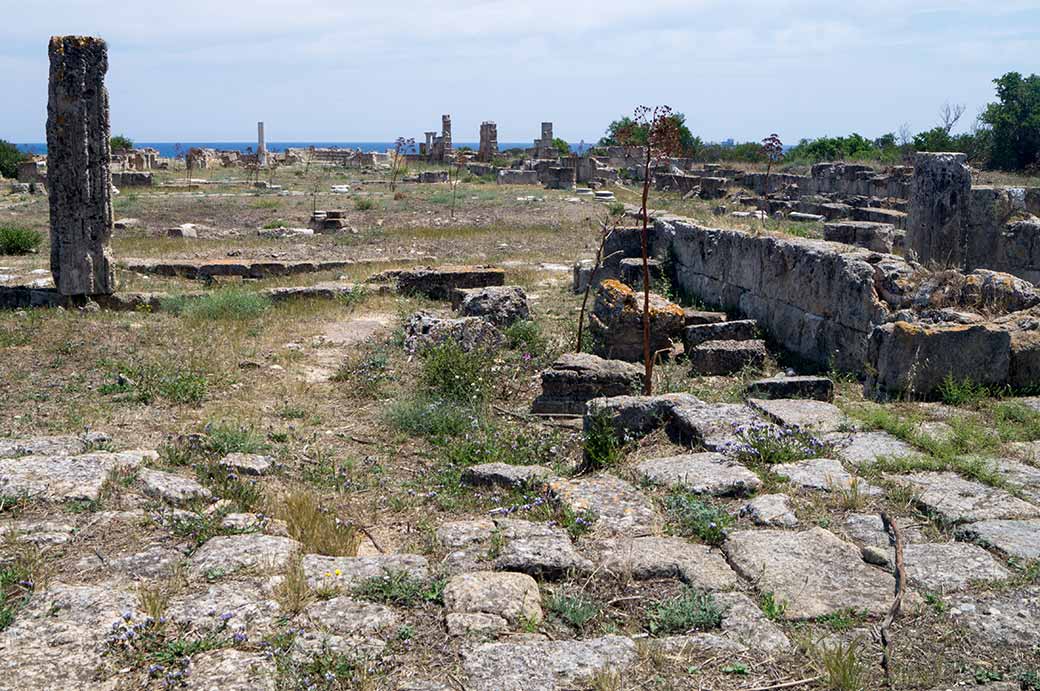 Kambanopetra Basilica, Salamis