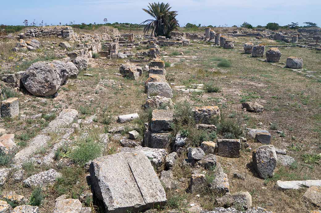 St. Epiphanios Basilica, Salamis