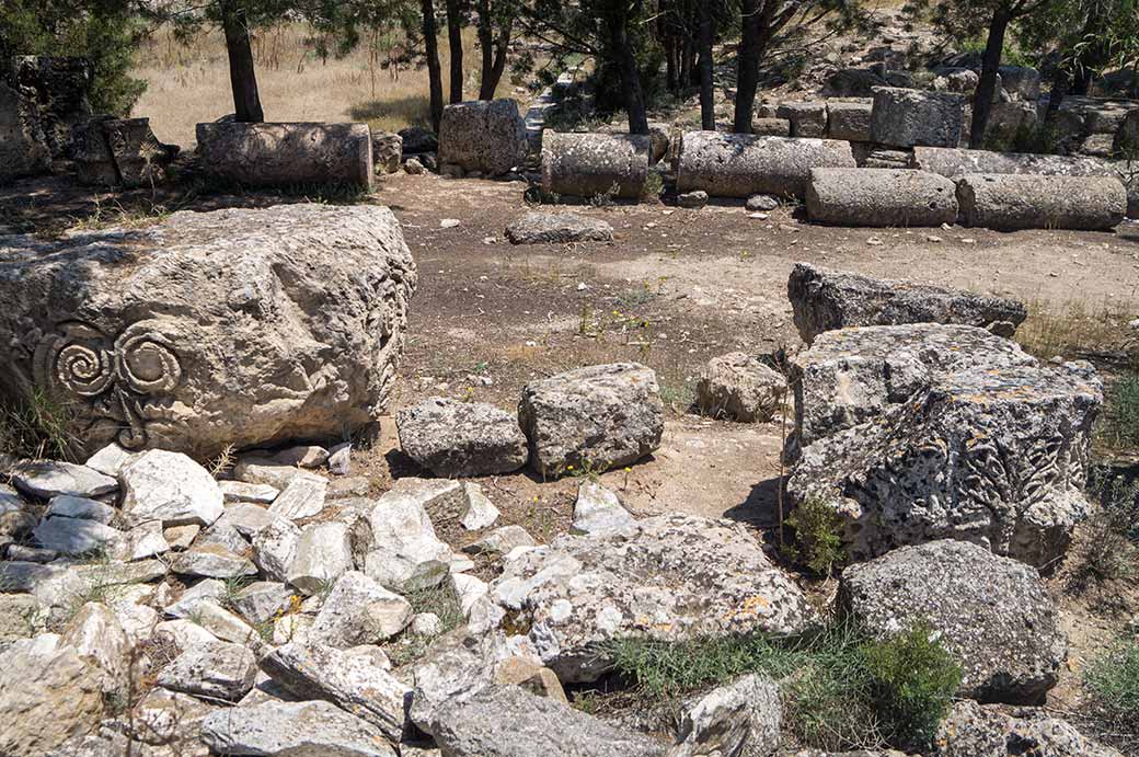 Temple of Zeus, Salamis