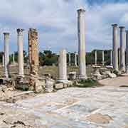 Gymnasium court, Salamis