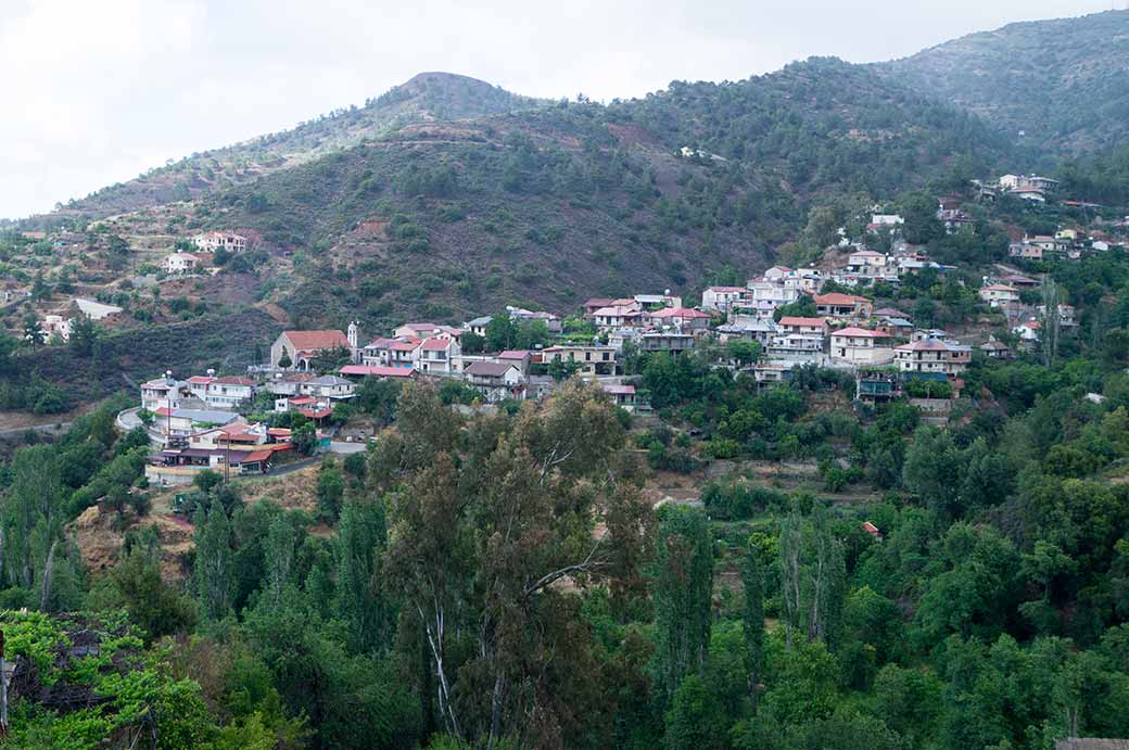 View of Oikos