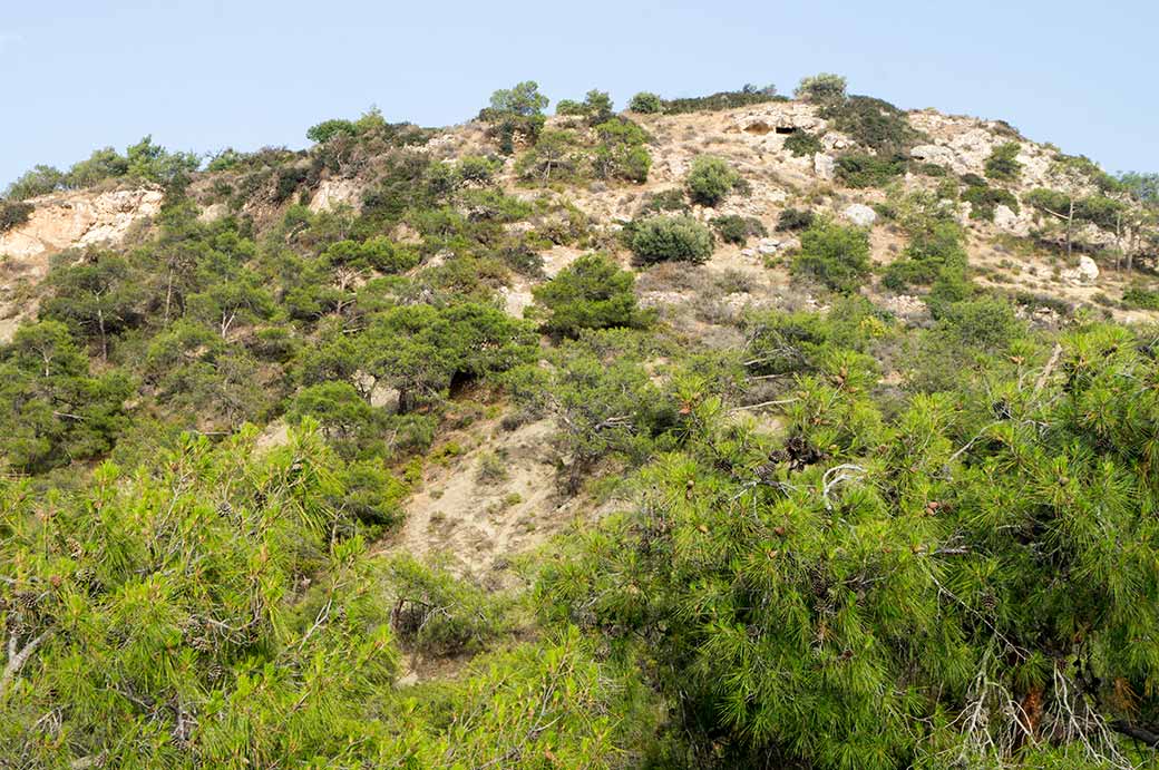 View to Ancient Vouni Sarayı