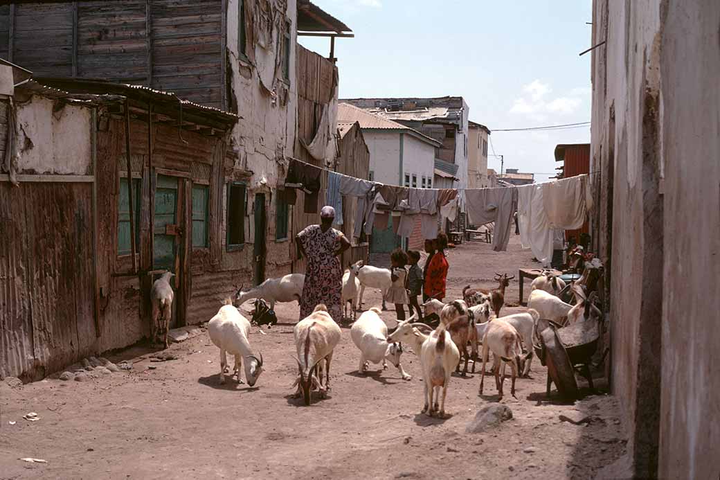 Street near the harbour