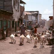 Street near the harbour