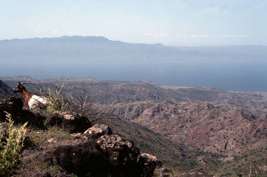 View from Arta