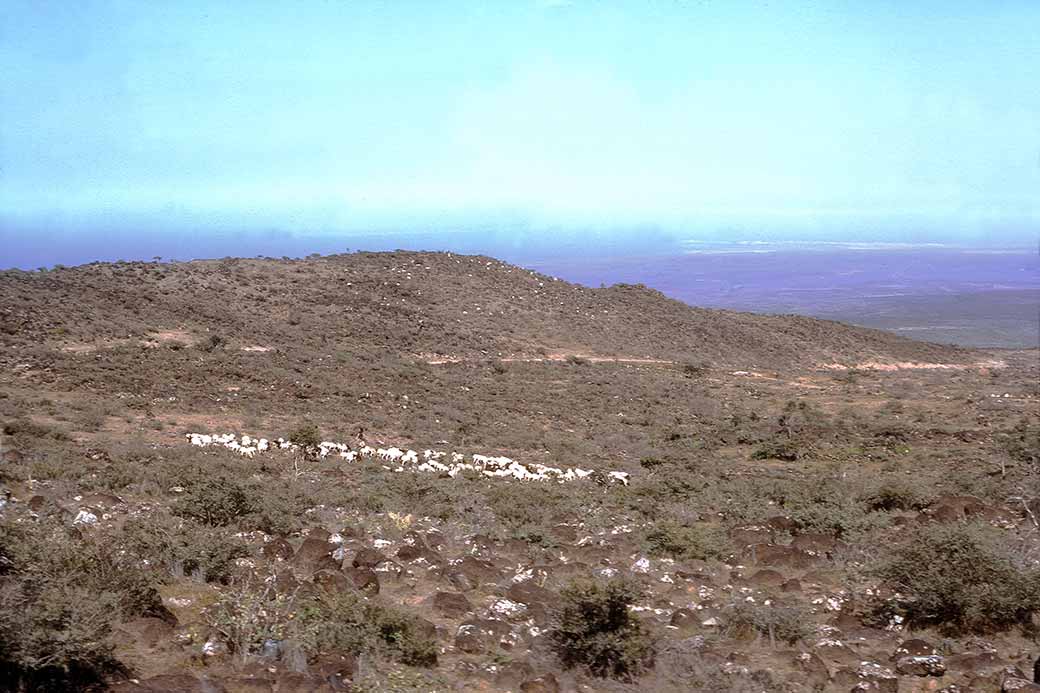 View towards Djibouti