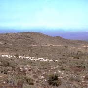 View towards Djibouti