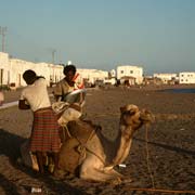 Offloading a camel