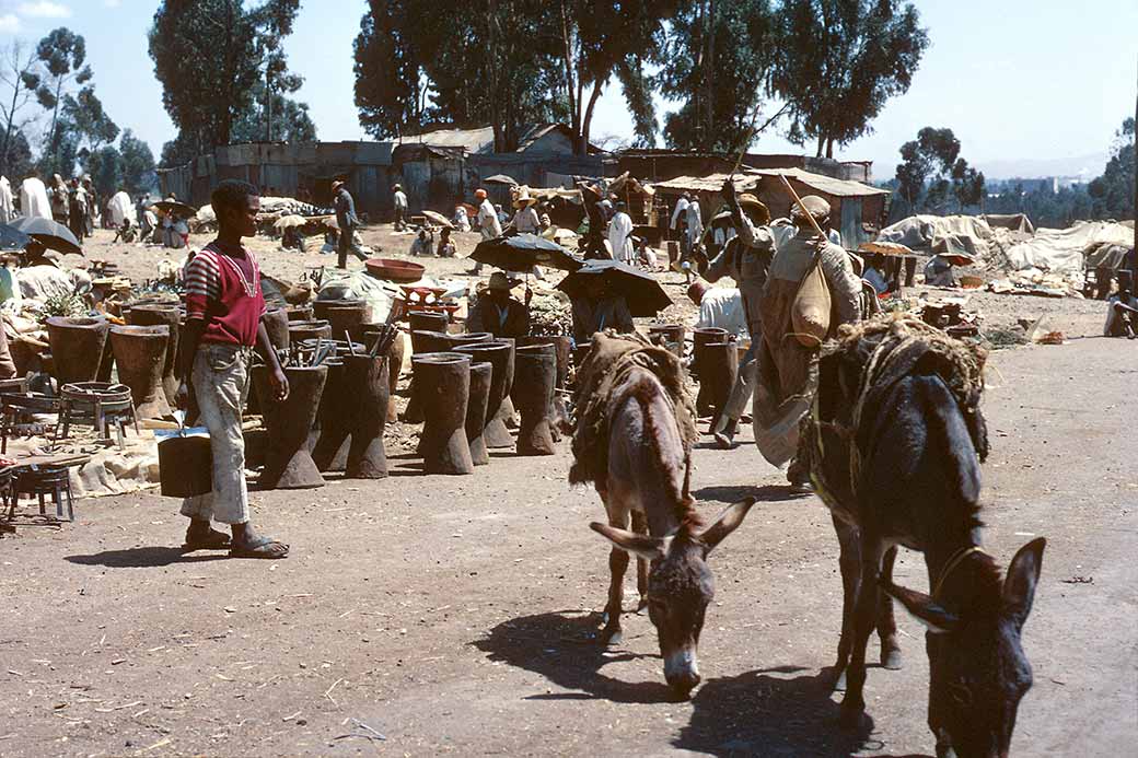 Donkeys at Merkato