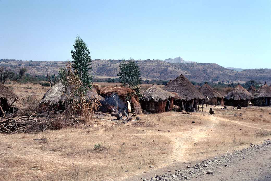 Village near Bahir Dar