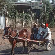 Transport in Adama (Nazret)