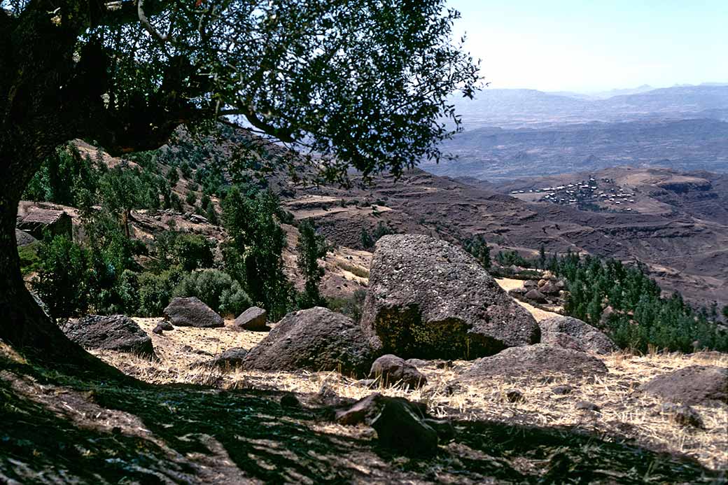 View to town