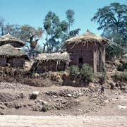 Thatched houses