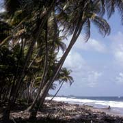 Beach near Pearls