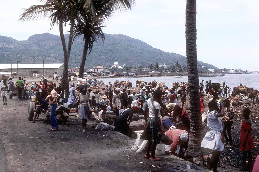 Charcoal market, Le Cap