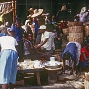 Market scene