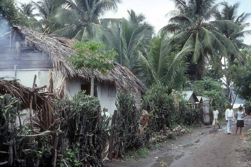 Near Jacmel's coast