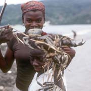 Jacmel crabs