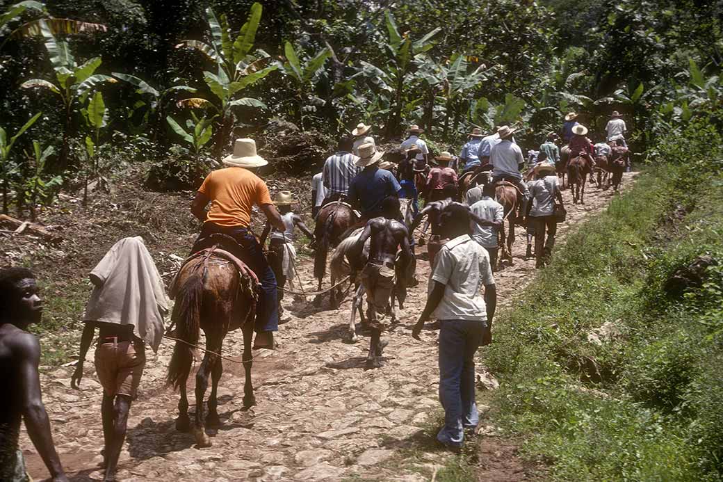 Tourists on horseback