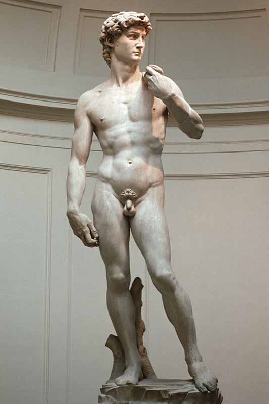 Michelangelo's David