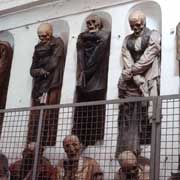 Mummified bodies