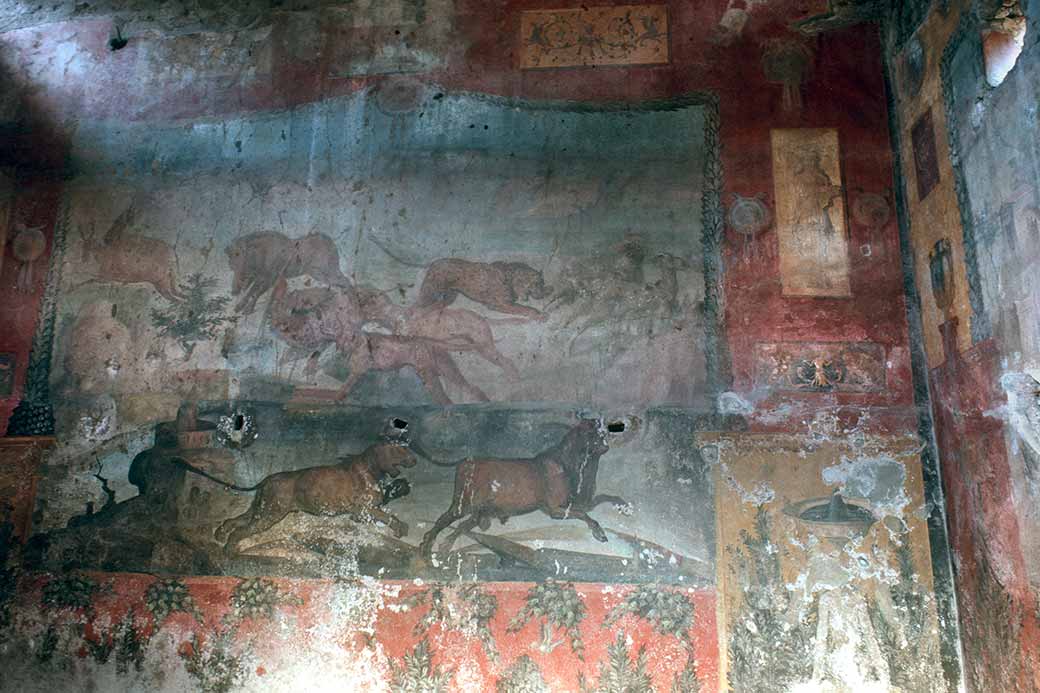 Wild animals, Pompeii