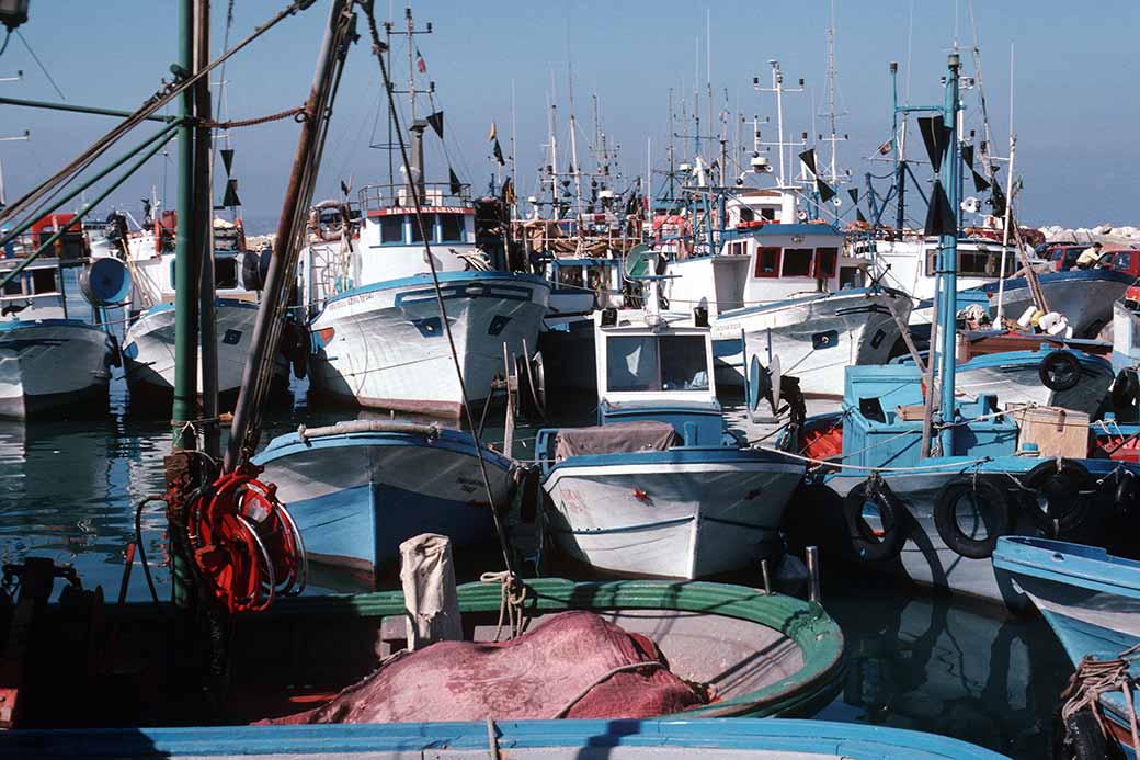 Fishing boats, Trapani