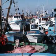 Fishing boats, Trapani