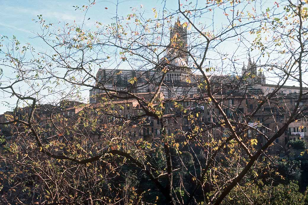 View to Duomo