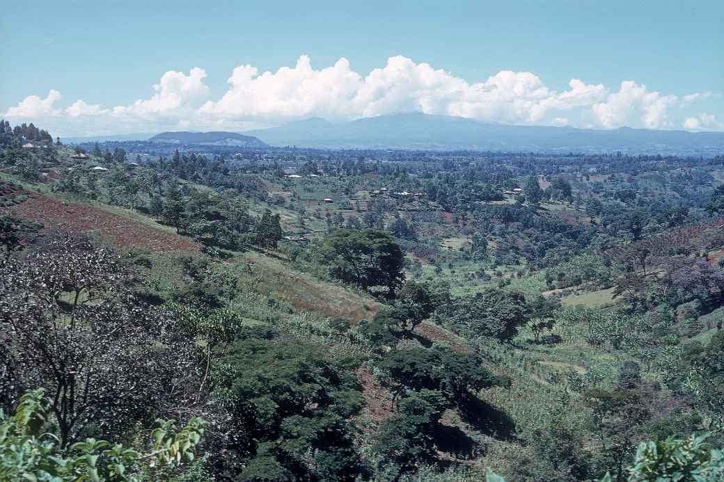 Between Nyeri and Muranga