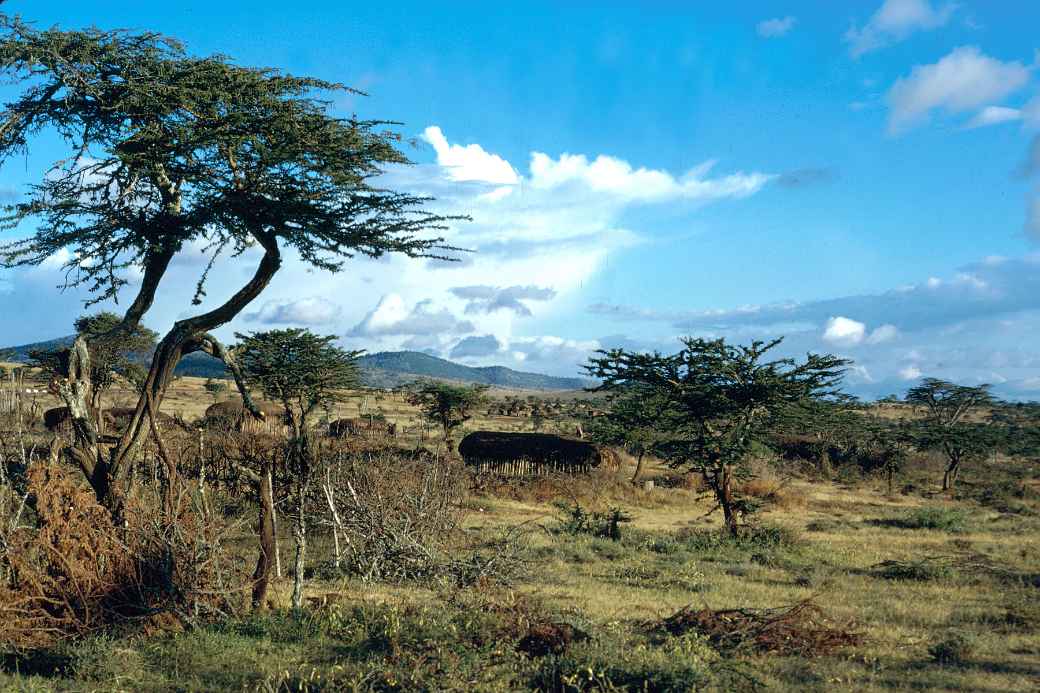 Samburu village