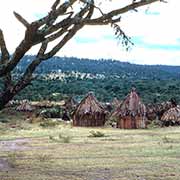 Turkana village