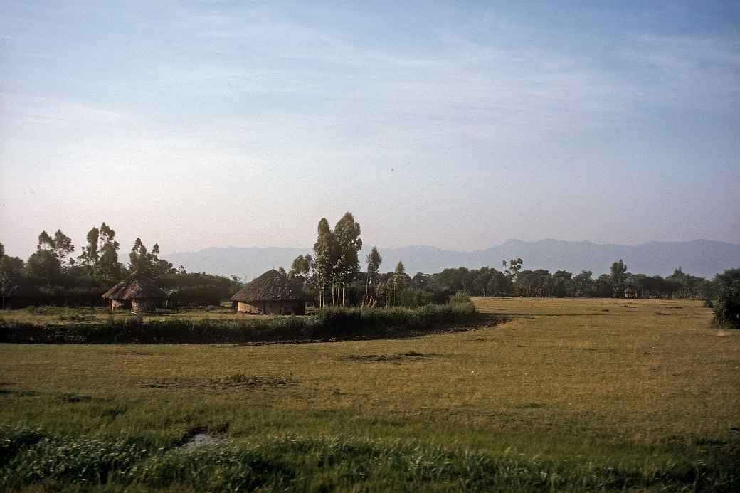 Between Kericho and Awasi