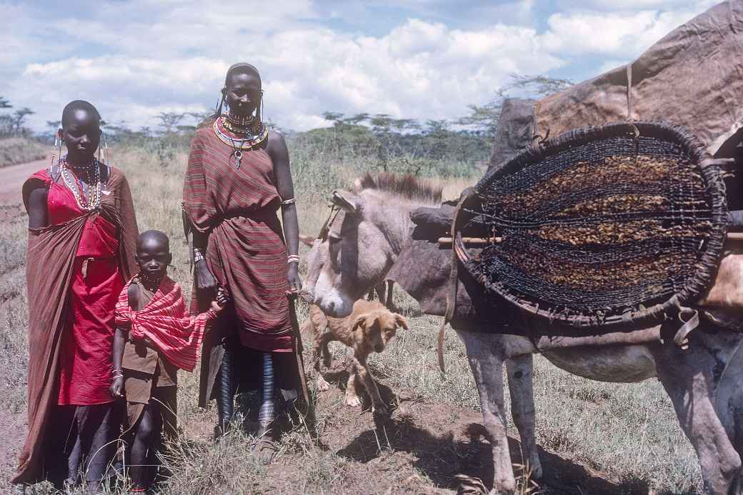 Maasai women and boy