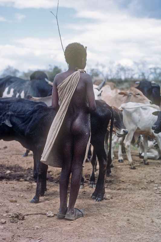 Maasai herd boy