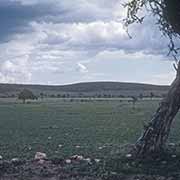 Maasai Mara National Reserve