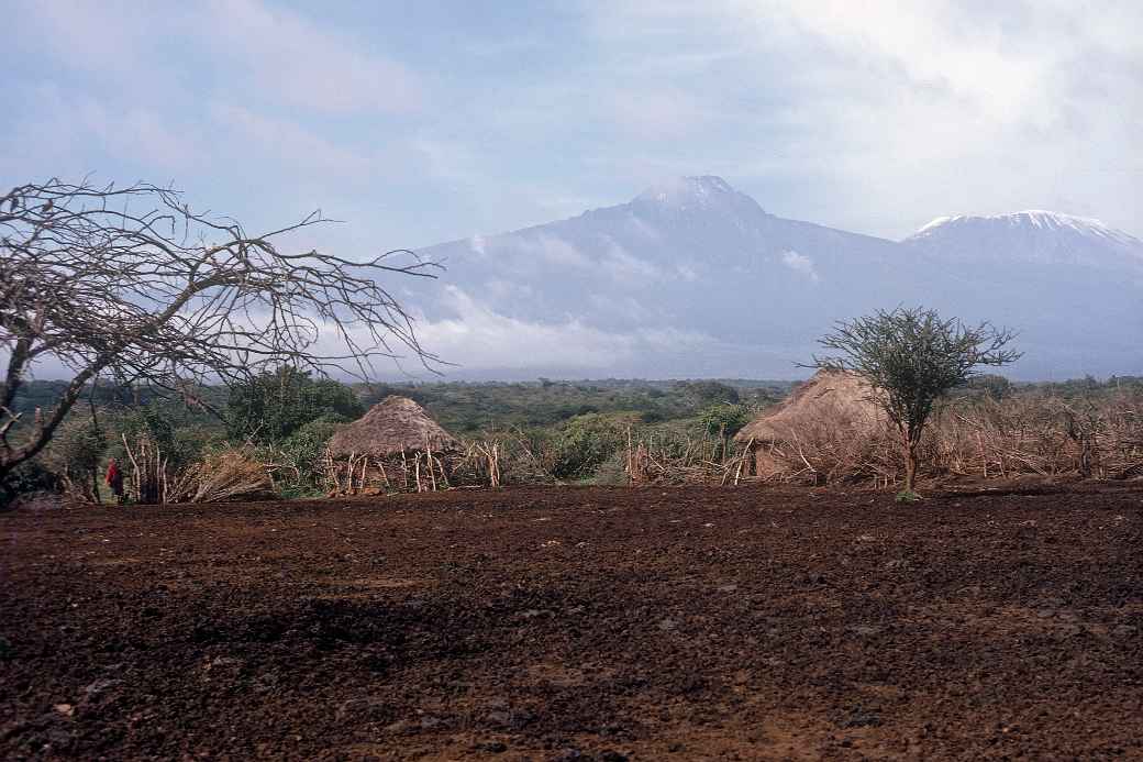 View from the boma