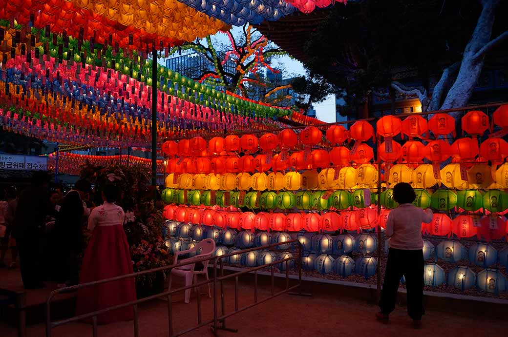 Lanterns, Jogyesa