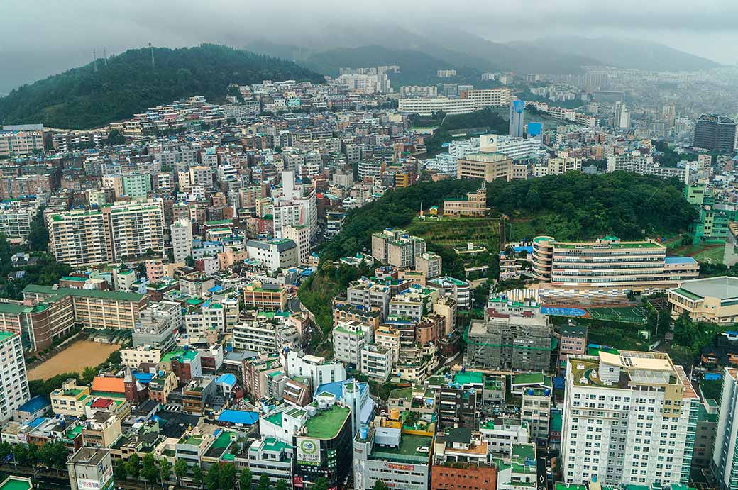 View from Busan Tower