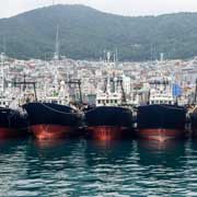 Fishing ships