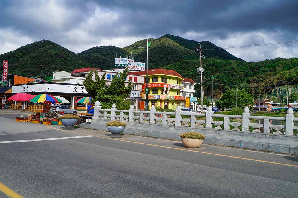Songnisan town