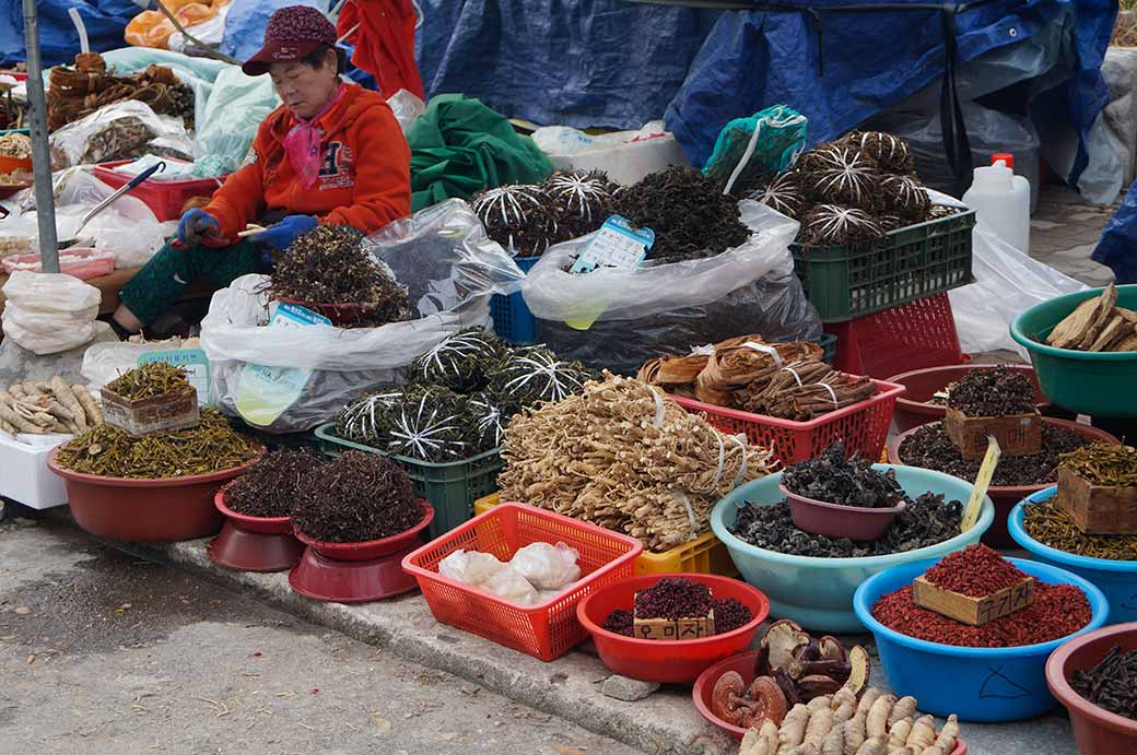 Roadside market, Songnisan