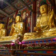 Buddha statues