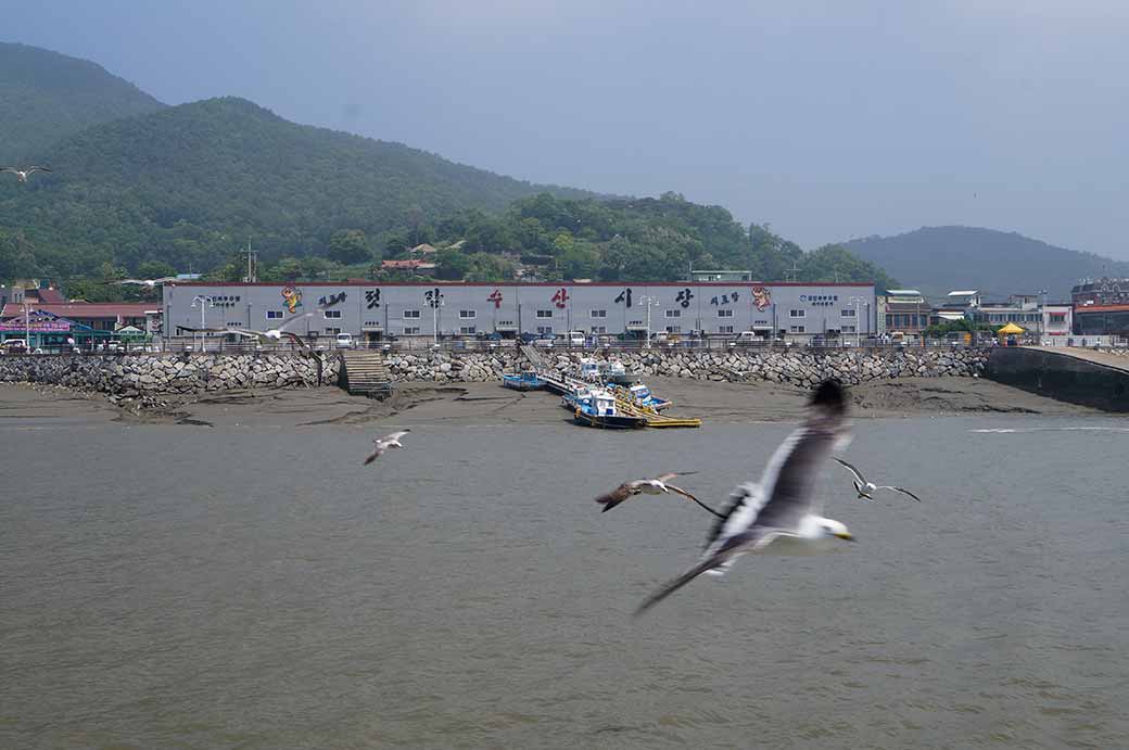 Ferry from Oepo-ri